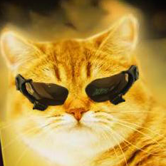 Avatar for ilias 🏴‍☠️💙💛