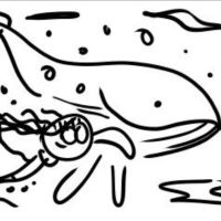 Avatar for Kate 🇬🇧 Pixelfed