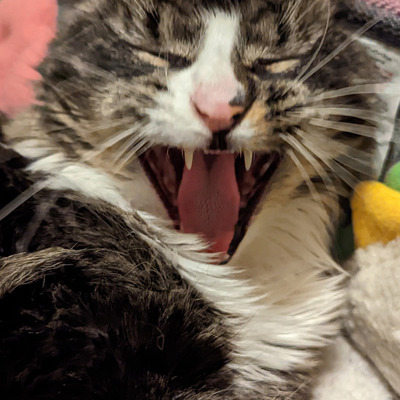 Avatar for Graham Rossiter