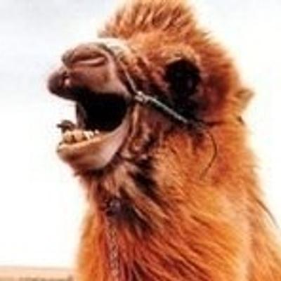 Avatar for Lucas Marc