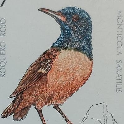 Avatar for Corresponderias