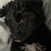 Avatar for KipJayChou ⁂