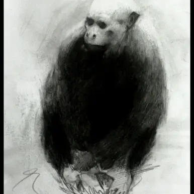 Avatar for Ulrich Suberg