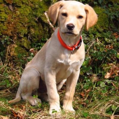 Avatar for Claire McNab