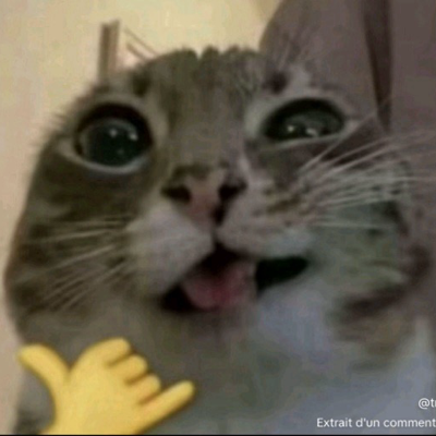 Avatar for Kimothy Sheamothy