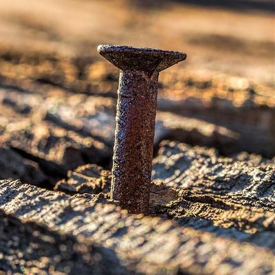 Avatar for That Hacker Girl