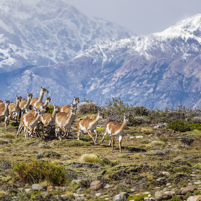 Avatar for Joan Carroll