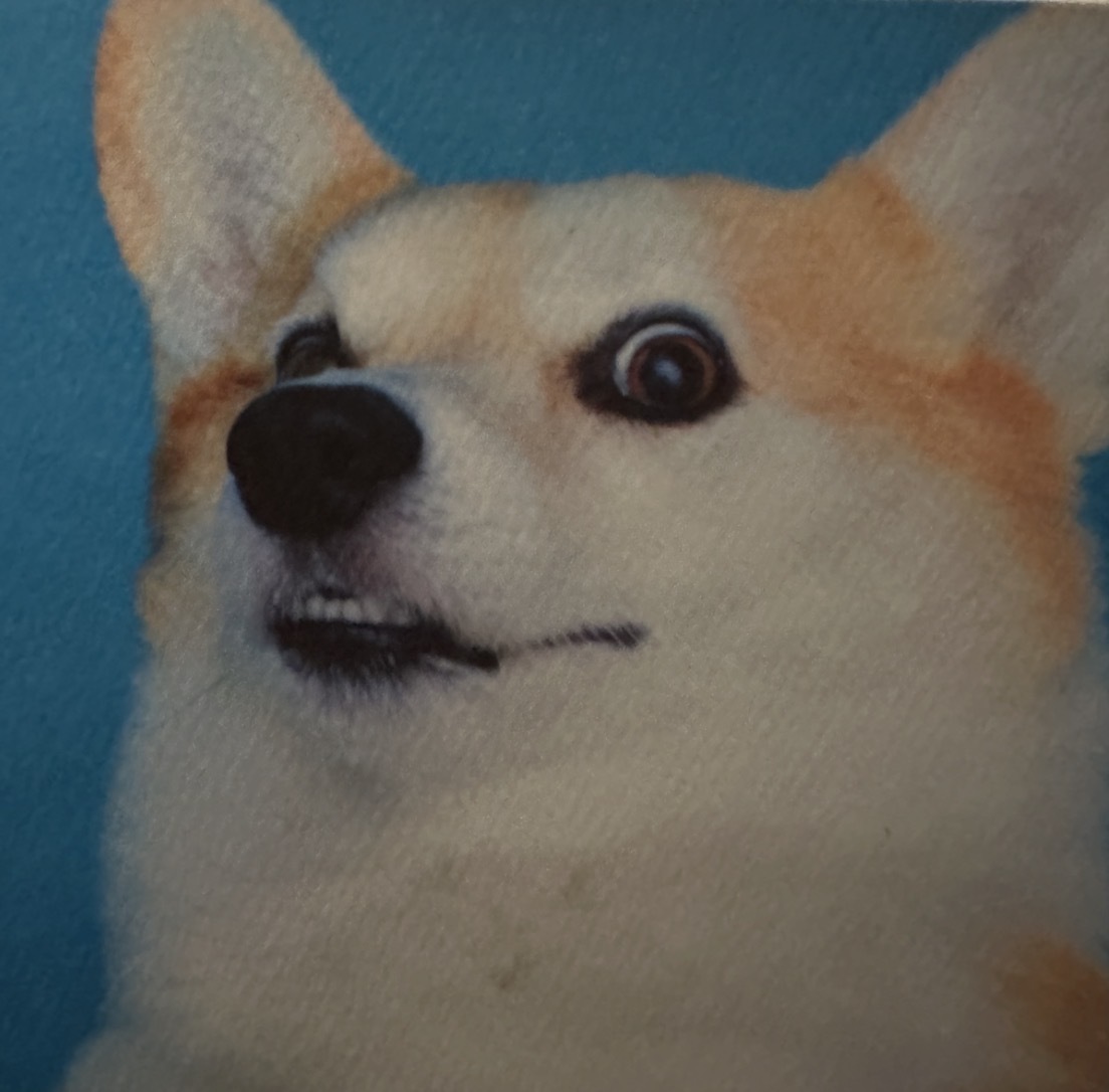 Avatar for 64bithero