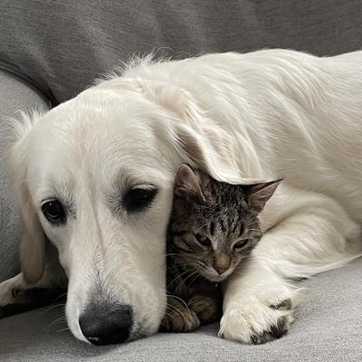 Avatar for DickWhitman