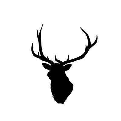 Avatar for Martin Hirsch